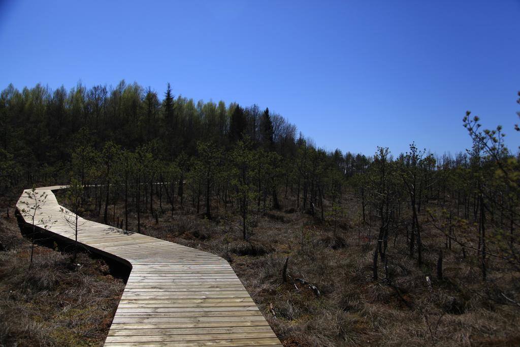 Tonyresort Trakai Kültér fotó